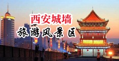 私密Spa保养抠逼操逼痒视频网站中国陕西-西安城墙旅游风景区